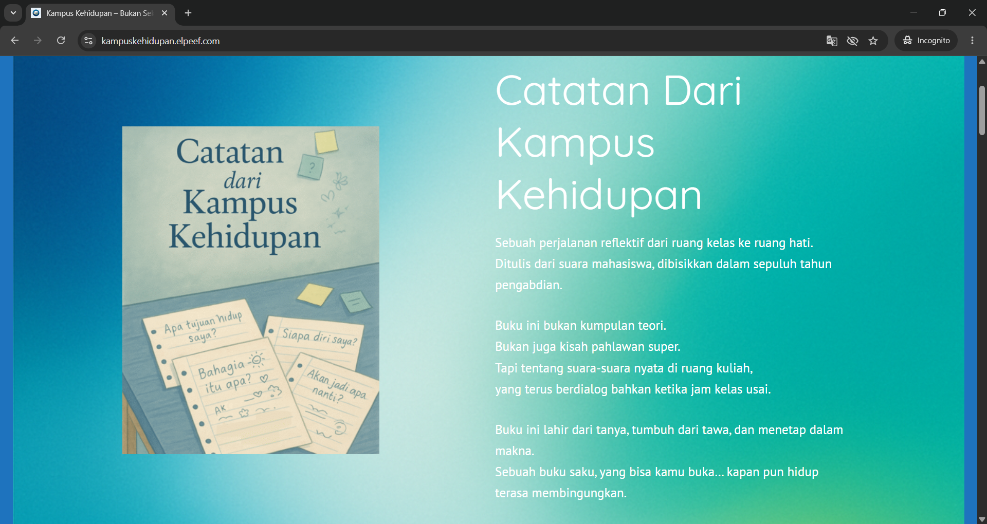 Newsletter